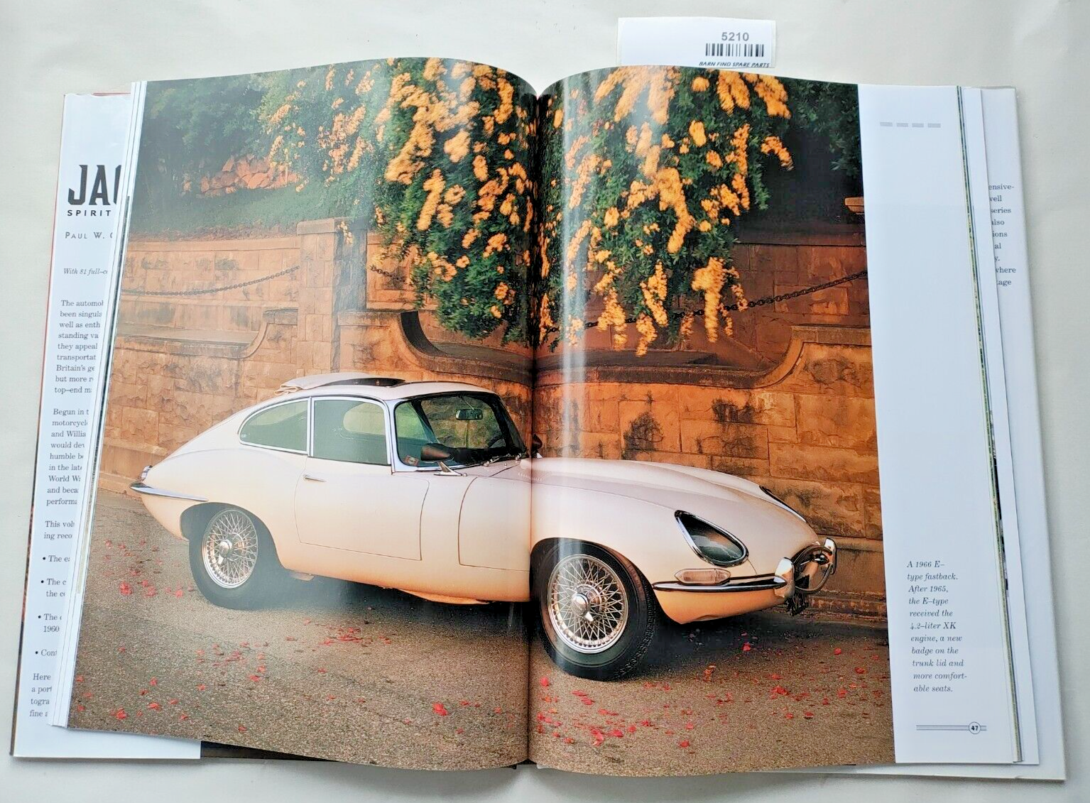 Jaguar Spirit of the Cat hardcover book by Paul Cockerham9
